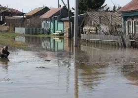 Фотография из галереи