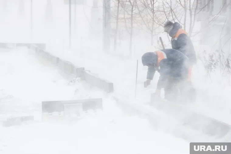 На Тюменскую область надвигается сильная метель