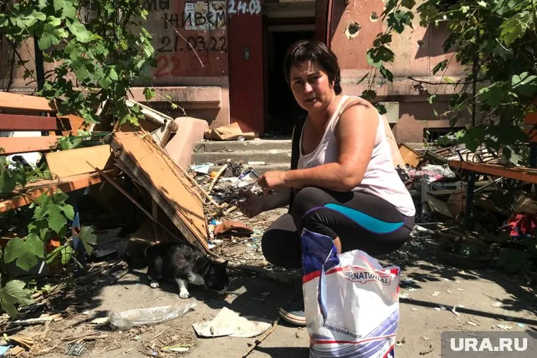 За несколько месяцев волонтеры спасли 727 кошек