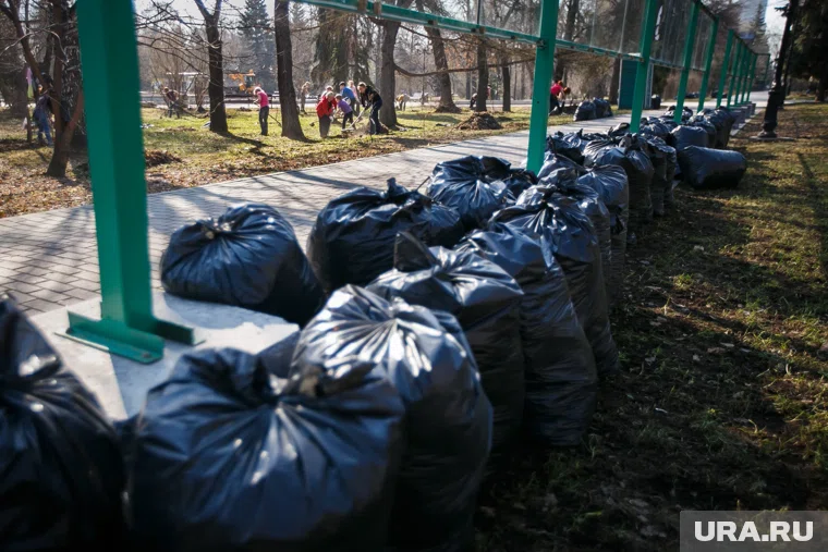 Новаков могли расчленить после похищения, пишут журналисты, ссылаясь на источники