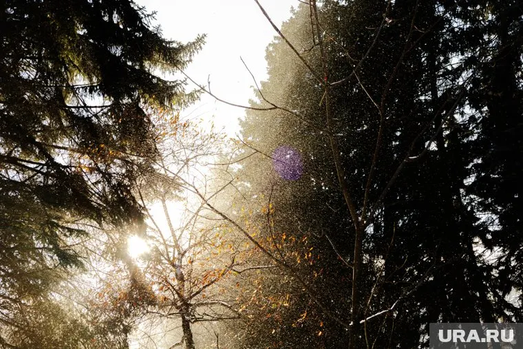 Температура воздуха будет оставаться выше нуля