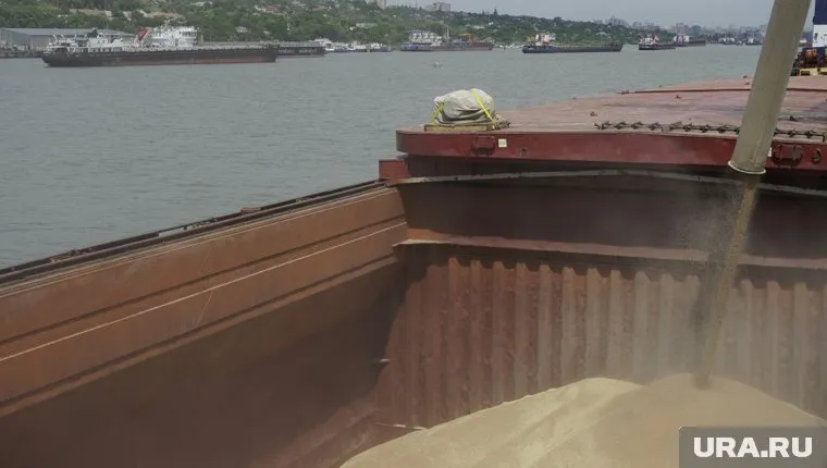Сухогруз «Разони» с украинским зерном прибыл в порт Стамбула
