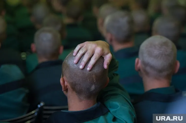 В колонии "Белый лебедь" закончились свободные места