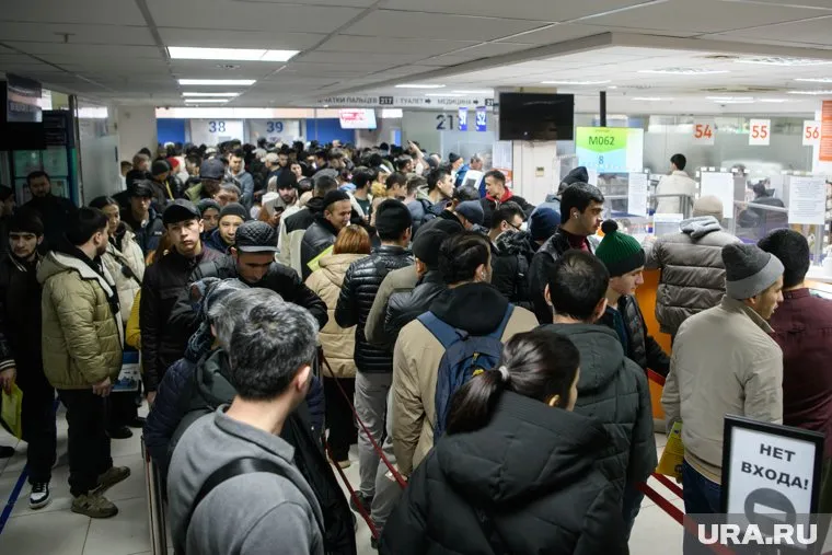 В Подмосковье выявили 56 мигрантов, незаконно работавших в РФ (фото из архива)