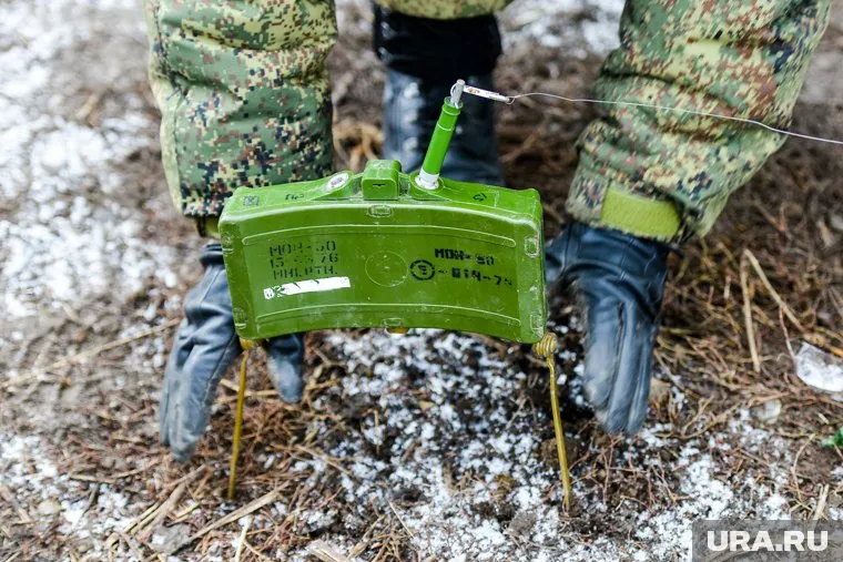Неизвестные пытались взорвать ЛЭП с помощью самодельного взрывного устройства (архивное фото)