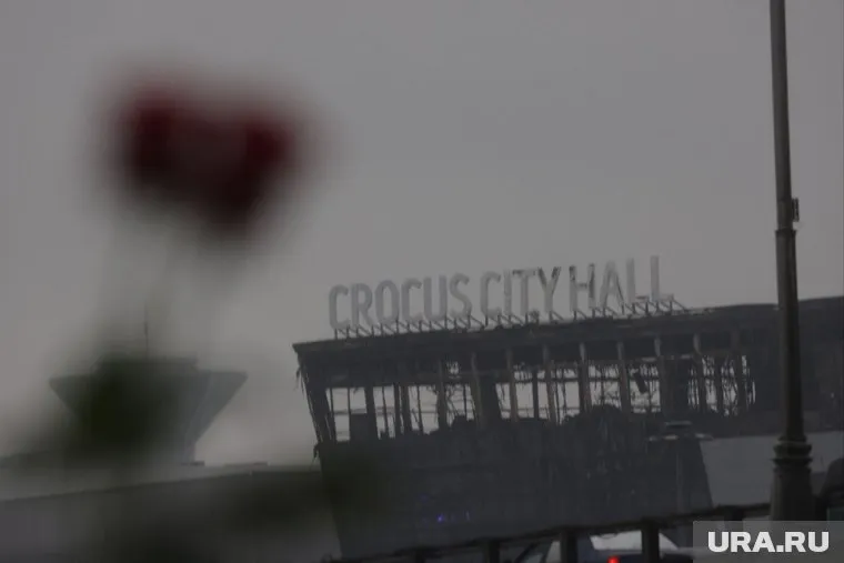 Теракт в «Крокусе» произошел вечером 22 марта