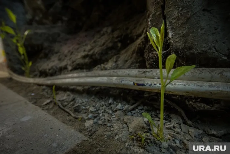 В Кургане и Челябинске высокая выраженность экологической проблемы