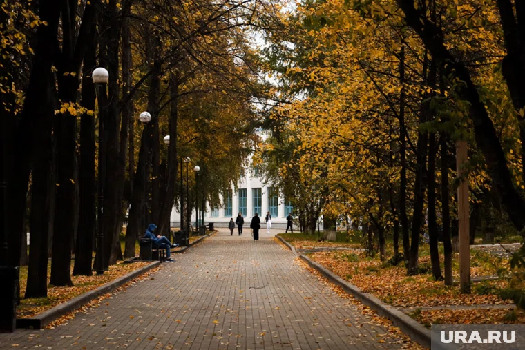 Аллею в сквере обустроили в прошлом году