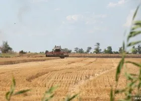 Фотография из галереи