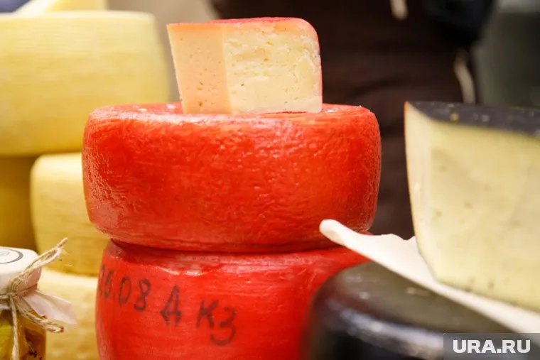 В оборот попало 609,6 кг небезопасного сыра без документов