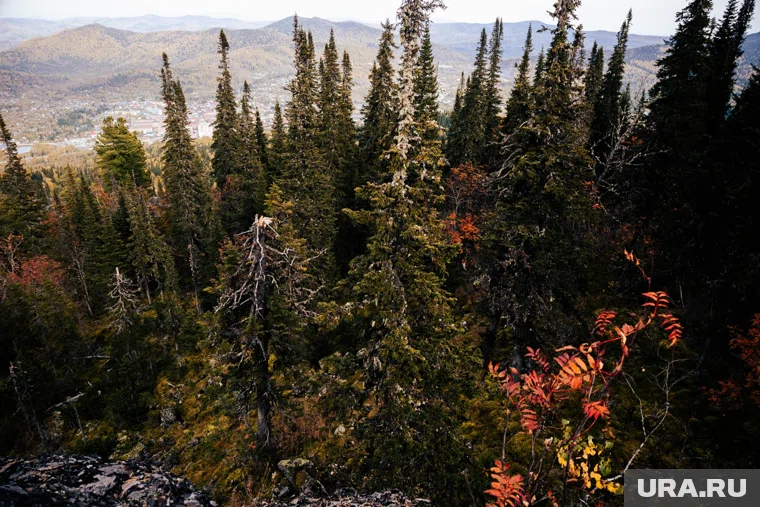 Семья Усольцевых далеко не первая, кого поглотила суровая сибирская тайга