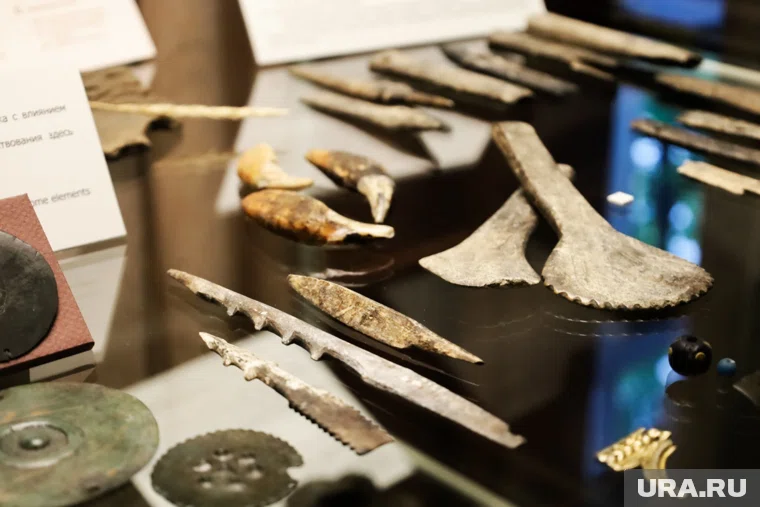 Археологи из Кургана представили артефакты, найденные в ходе раскопок в поселении Слободчики-1