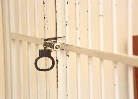 Фотография из галереи