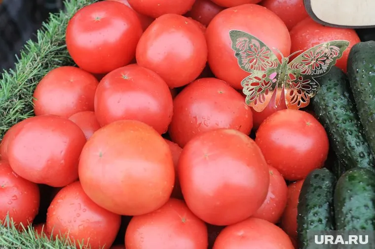 Домашние томаты продают дороже, чем на рынках и в супермаркетах