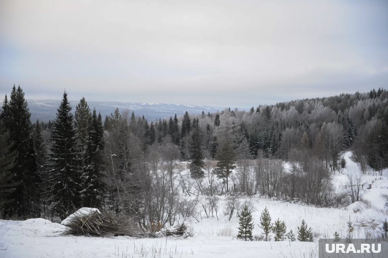 «Дом строили сами»: где и как жила семья Усольцевых, которые пропали почти месяц назад