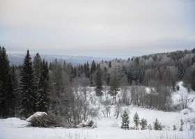 «Дом строили сами»: где и как жила семья Усольцевых, которые пропали почти месяц назад