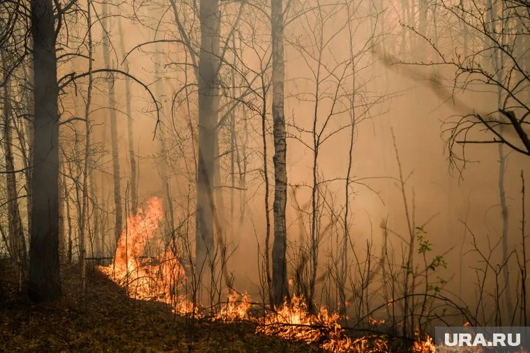 МЧС РФ помогает Турции в тушении лесных пожаров