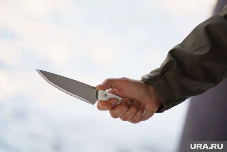 В одном из колледжей Архангельска юноша напал с ножом на педагогов 