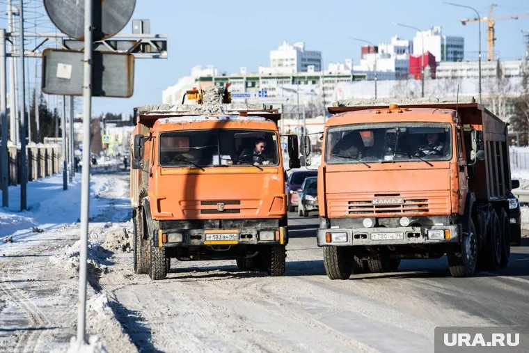 Снежный покров сможет достичь восьми сантиметров (архивное фото)