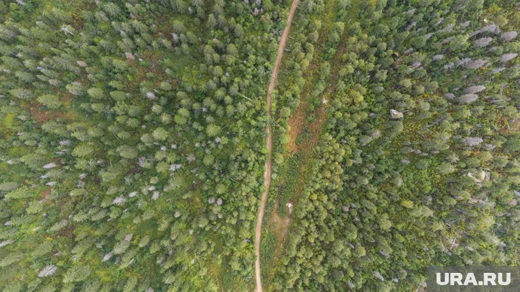 Группа туристов отклонилась от маршрута и живет в самодельном убежище