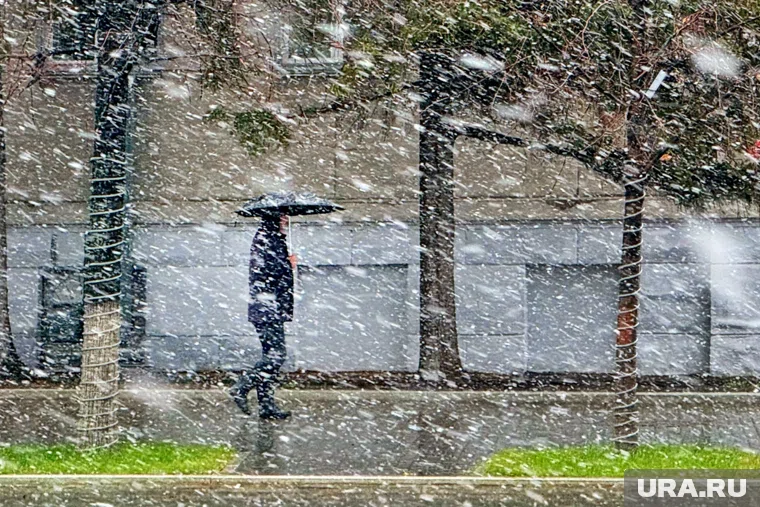 Мокрый снег прогнозируется в Шадринске