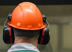 Фотография из галереи