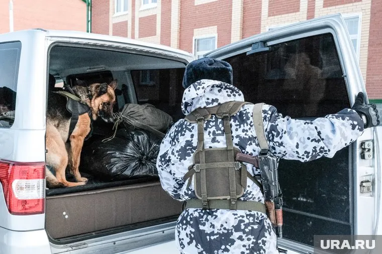 Кинологи искали взрывное устройство на тобольском заводе «ЗапСибНефтехим»