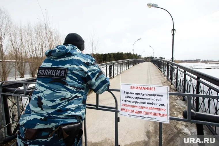 Правоохранители могут оперативно получать данные о нарушителях