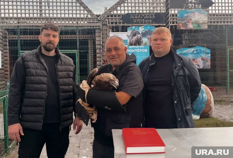 Экологи вылечат редкого краснокнижного орла