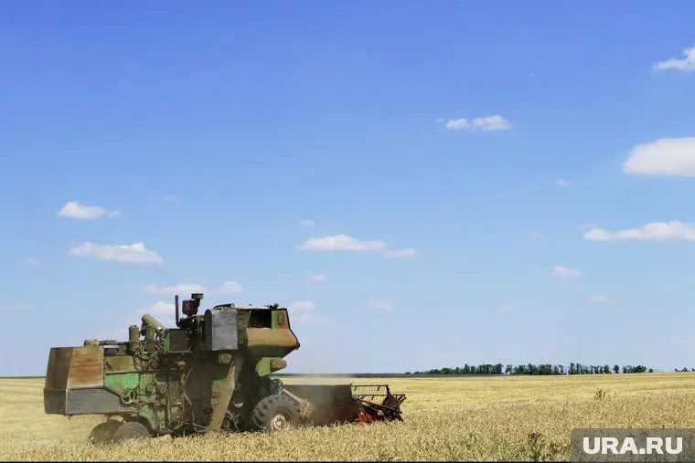 Польша не разрешит Украине торговать зерном на своем рынке