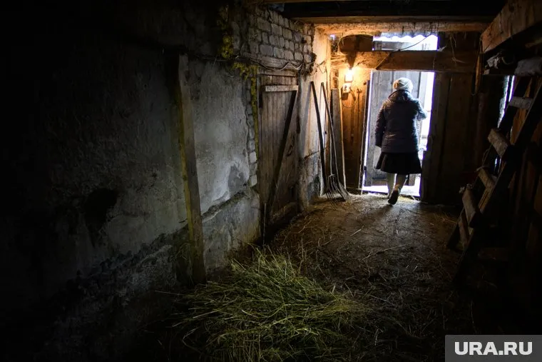 Тысячи местных жителей остались без электричества в мороз