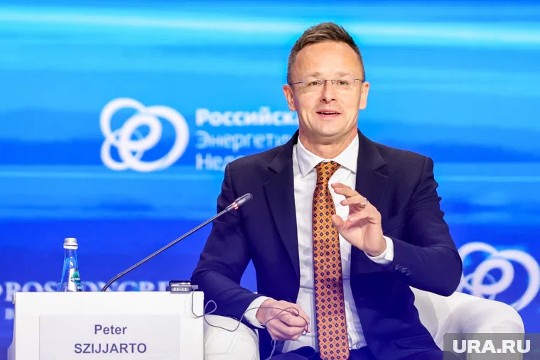 Сийярто заявил, что Венгрия должна защищать своих граждан