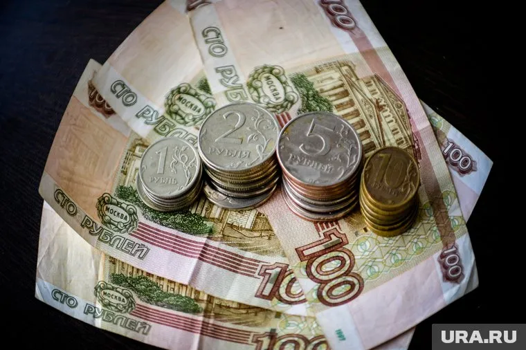 Вклад малого и среднего бизнеса в ВВП РФ растет каждый год