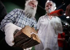 Немецкие ученые определили точный возраст Шигирского идола, которому поклонялись древние предки уральцев