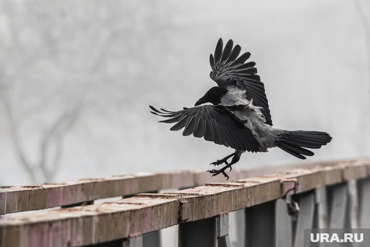 Что можно отметить 10  сентября 2025