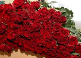 Экс-участница шоу «Холостяк» в США раскрыла изнанку телепроекта