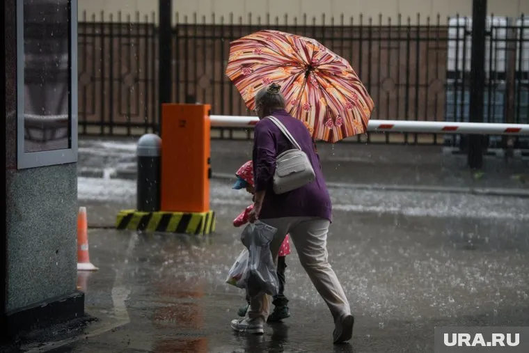 В первые дни новой недели ожидается потепление