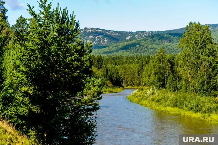 Нацпарк наполнился опасными для человека ягодами 