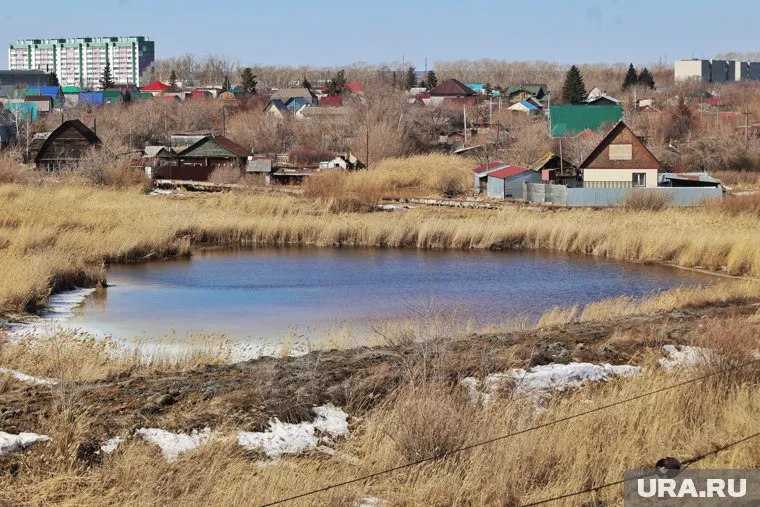 В Кургане скосят камыш и траву, чтобы избежать весенних пожаров