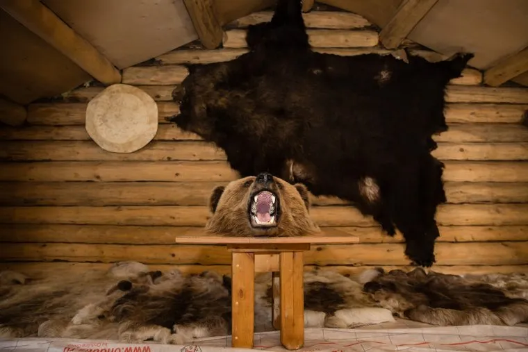 Досрочное голосование аборигенов ХМАО на охотничьем хозяйстве Еловое. Выборы президента РФ 2018. Сургут
