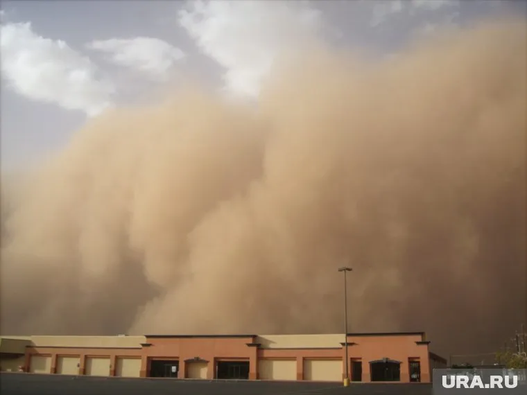Пески в тайгу может принести с соседних территорий