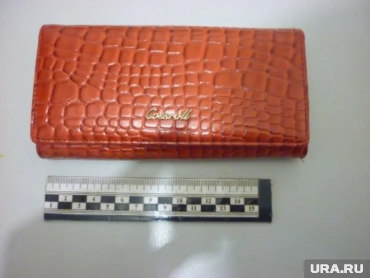 Этот кошелек украла воровка у школьницы