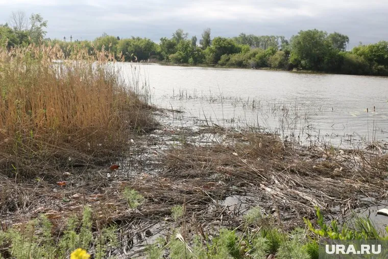 Личность погибшего устанавливается