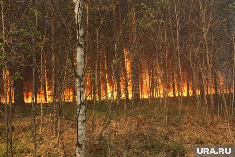 Наиболее крупные пожары бушуют в Гаринском, Серовском и Сосьвинском районах (архивное фото)