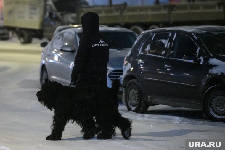 Мужчина, одетый в черную одежду, пропал без вести три месяца назад (архивное фото)