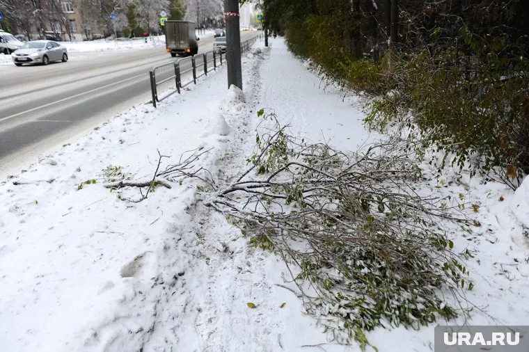 В регионе ожидаются заморозки до десяти градусов мороза