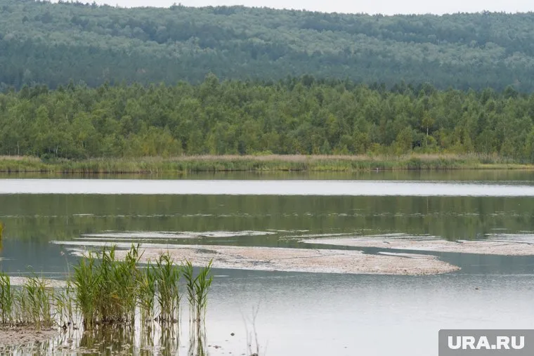 В озере утонули 14 детей