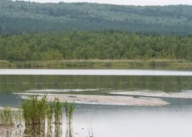 Фотография из галереи