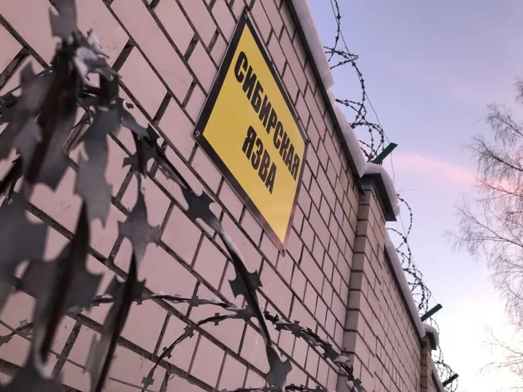 Скотомогильник ( НЕОБРАЬОТАННЫЕ)