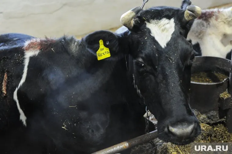 Промышленники решили заняться сельским хозяйством